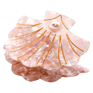 Scallop Shell Hair Claw
